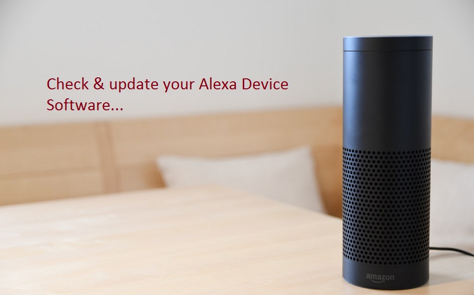 How will you check & update your Alexa Device Software?