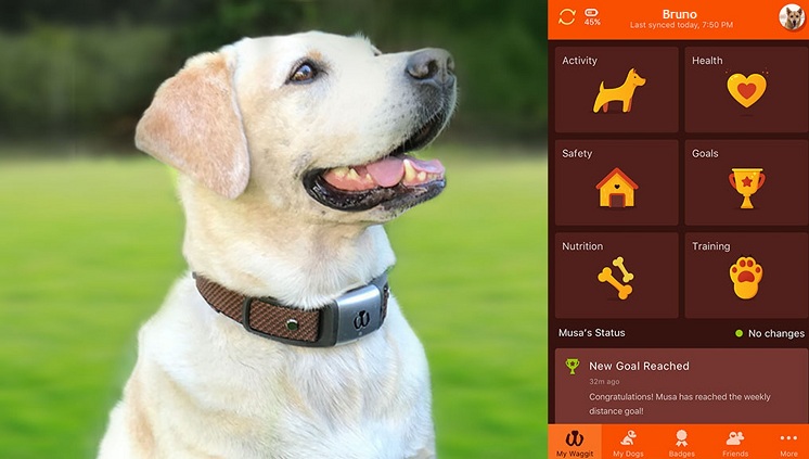 Some suggested apps for your pet care